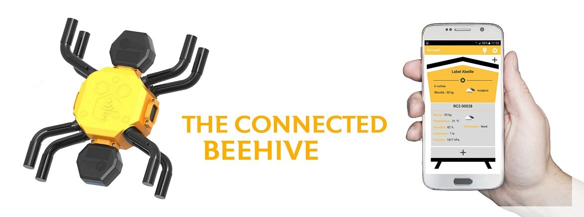 The connected Beehive